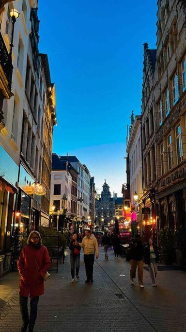 Cozy Antwerp - Cityview Studio Free Parking Εξωτερικό φωτογραφία